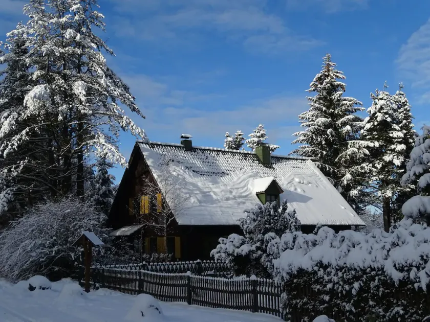 Vacation home in the forest near the Rennstein - Image 1