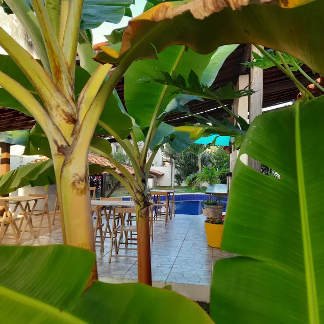 Villa Tropicale - Image 1