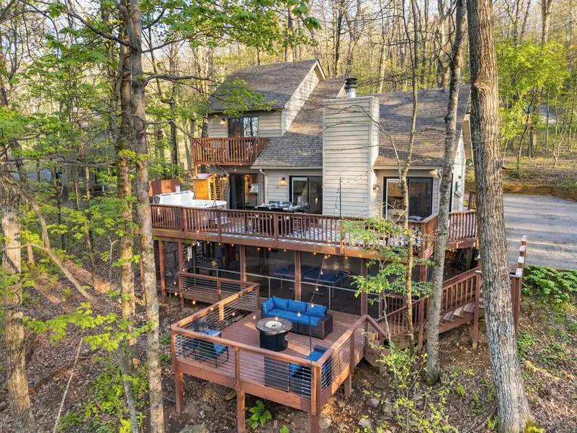 Wintergreen Mountain Cabin · Hot Tub · Sauna · Mural · Fire Pit · Game Porch - Image 1
