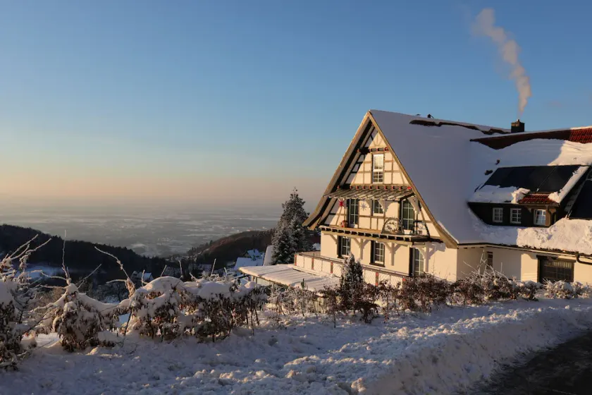 Berghof Grüner Baum - Image 1