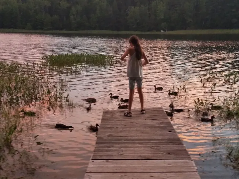 Memories Made Here -Maine Loon House-AcadiaNP/Downeast-Lakefront-WiFi/TVs-Kayaks - Image 1