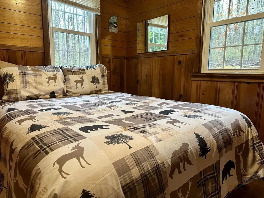 Salmon Creek Cabin - Allegheny National Forest - Image 1