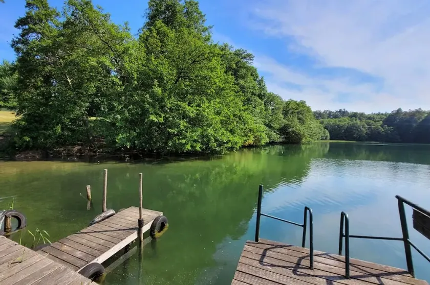 Idyllically situated forester's lodge by the lake in the middle of nature, Hasewohnung - Image 1