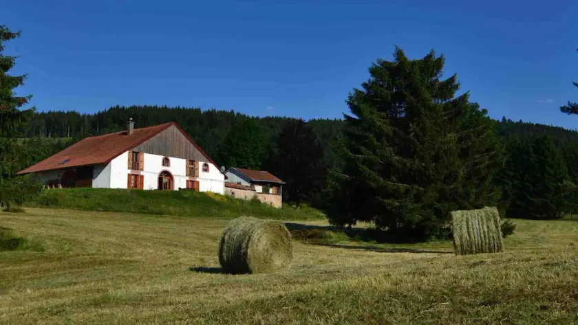 Exceptionell Vogesgård 10 minuter från Gérardmer-sjön, La Prairial 400 m2 - Image 1