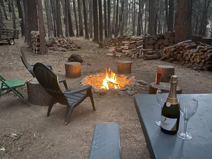 Weekend Getaway Relax & Recharge 5 acres Nature Retreat & Dog Heaven!  - Image 1