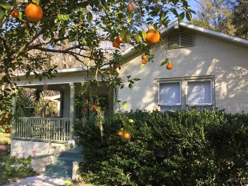 Orange Blossom in Historic McIntosh - Image 1