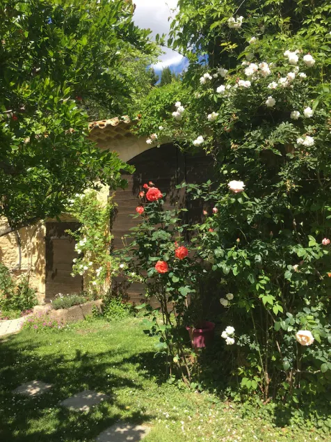 Mas provençal - Image 1
