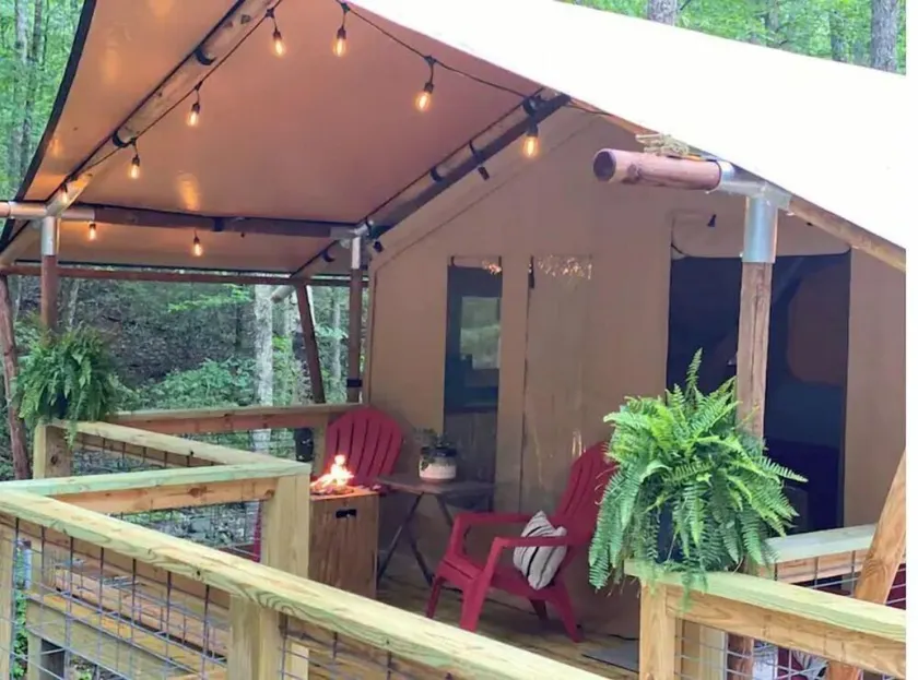 BEARADISE “Glamping Paradise” - Image 1