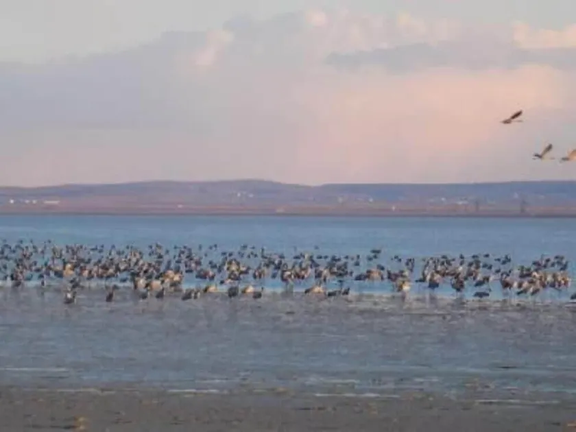 Gite med trädgård i Gallocanta naturreservat. - Image 1