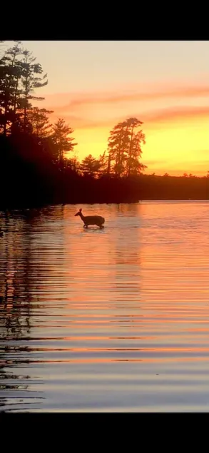 Lakewood Exclusive Camping - Image 1