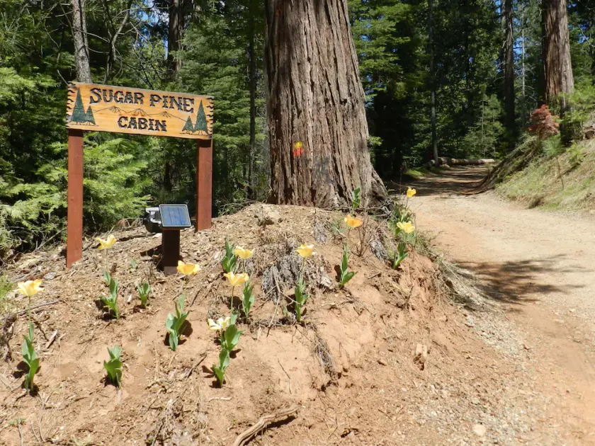 Helt ny konstruktion augusti 2019 Sugar Pine Cabin i vackra Mariposa Pines - Image 1