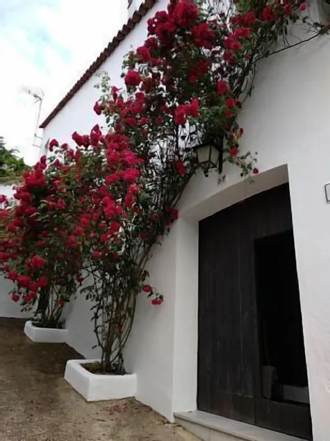 Casa Onuba: casa de campo bonita para grandes grupos - Image 1