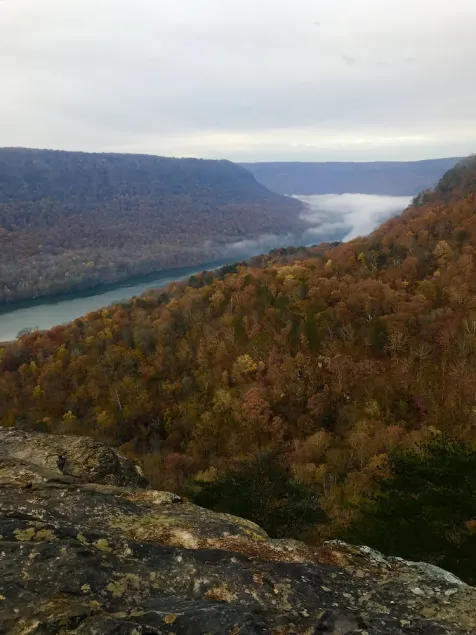 Tennessee's Grand Canyon! 10 Min Fra Downtown Chattanooga! - Image 1