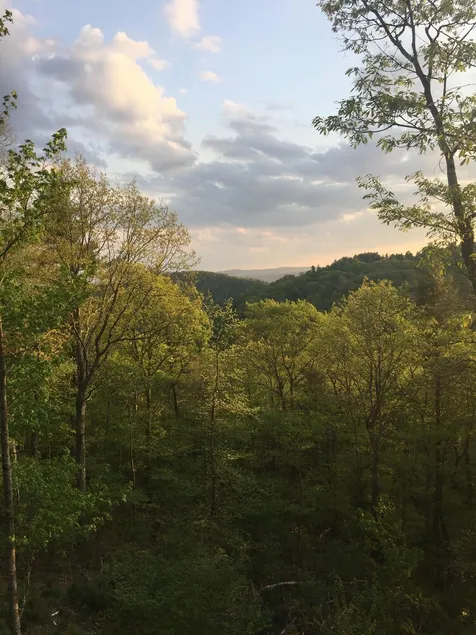Blockhaus auf 9 Hektar Privatgrundstück am Blue Ridge Parkway mit herrlicher Aussicht - Image 1