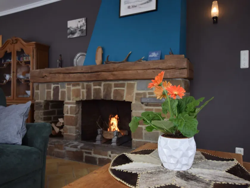 Peaceful Ardennes retreat - Image 1