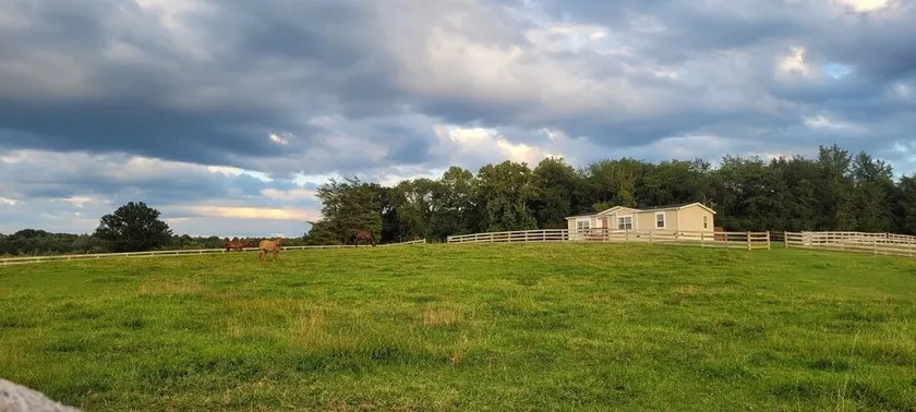 Secluded cabin on a horse farm, bordered by the North River - Image 1