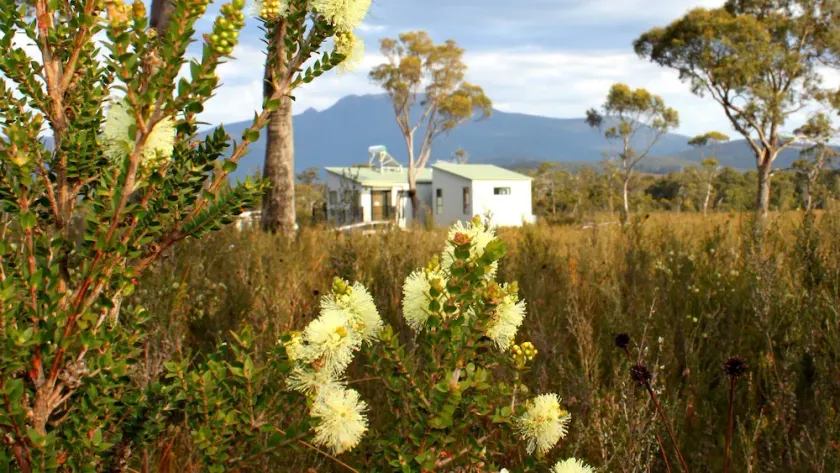 Buttongrass Retreat Far South Tasmanien - Image 1