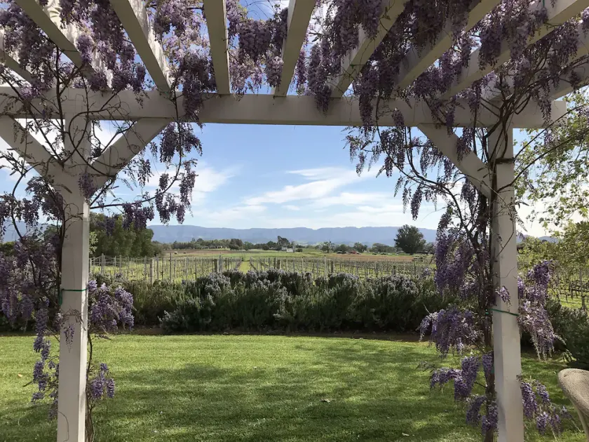 Im Herzen von Los Olivos - Luxusweinland - auf unserem Weingut! - Image 1