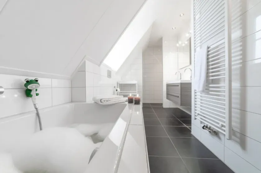 Holiday Home With Whirlpool and Sauna in a Quiet Area in Zeeland - Image 1