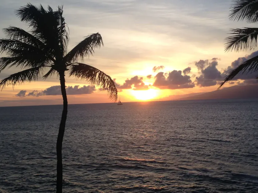 Gorgeous Oceanfront Condo, 1 Bedroom, 1 Bath, Sleeps 4 - Image 1