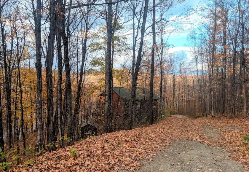 Haliburton Highlands Cottage Retreat - Your summer getaway awaits you! - Image 1