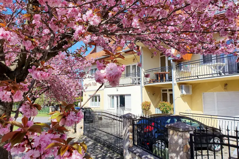 New, modern apartments, bright, friendly and clean! Many regular guests. - Image 1
