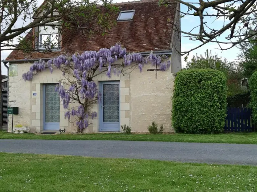 Encantadora casa rural con jardín, cerca de Chenonceau y Beauval - Image 1