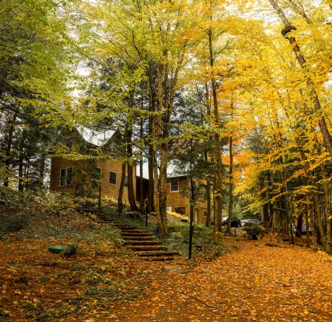 Beautiful Cedar Chalet Overlooking Jay Branch - Image 1