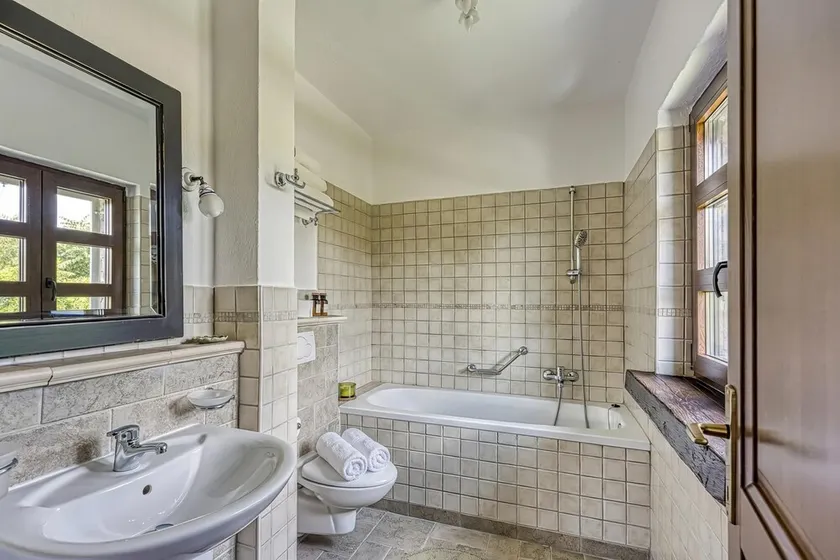 Family villa Aryana with pool in Porec - Image 1
