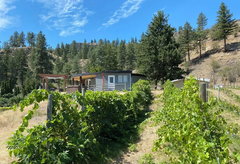 Roundhouse Ridge - Vineyard, Hot Tub and Acreage to Explore! - Image 1