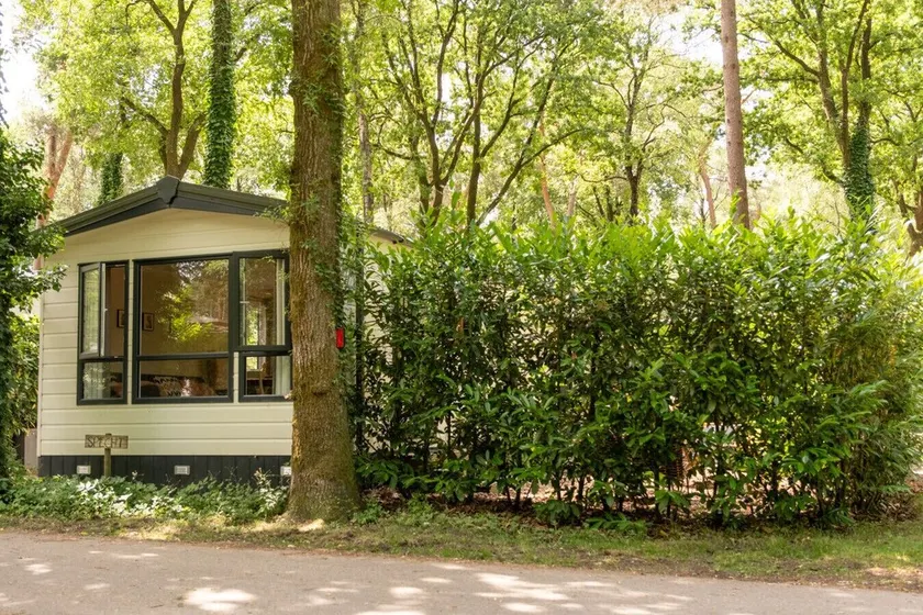 Chalet in de Veluwse bossen - Image 1