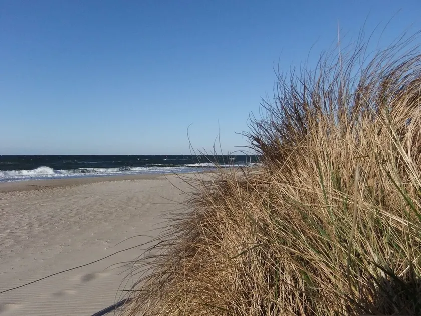 Quaint Bungalow in Reddelich near Baltic Sea Coast - Image 1
