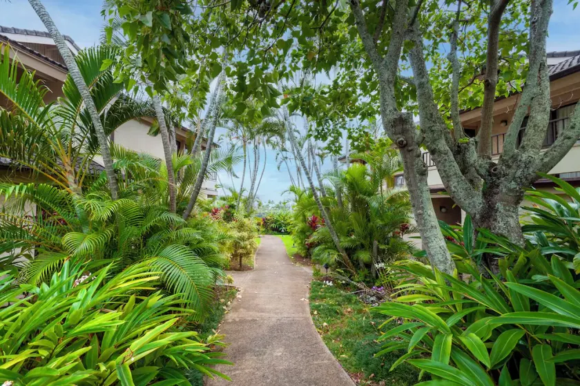 Ocean View & AC! 3 Min Walk To Poipu Beach! - Image 1