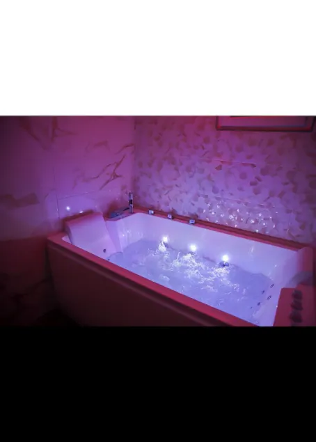 Appartement de Luxe Avec Sauna et Jacuzzi - Image 1
