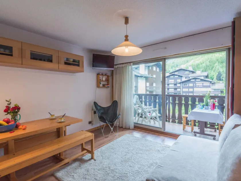 Bright studio near slopes, pets allowed - Image 1