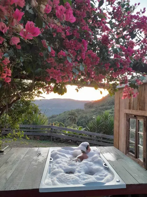 Chácara paraíso dá paz - Image 1