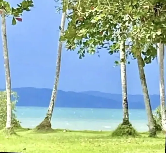 Coconut Beach House at playa Amapola Entire Cottage hosted by Kimberly -internet - Image 1
