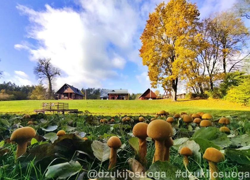 Casa de férias elegante na floresta pela água para férias em família na natureza da Lituânia - Image 1