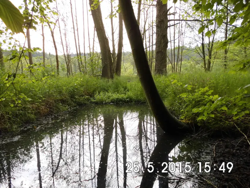 Holidays in wooded and water-rich surroundings - far away from stress and hectic - Image 1