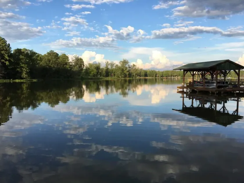 Cozy Bear Paradise  on Weiss Lake  in the foothills of the Appalachian Mountains - Image 1