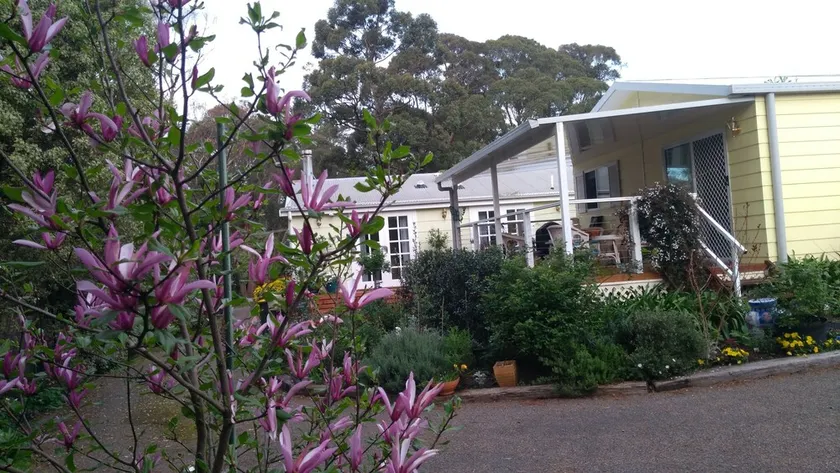 The Best Exotic Magnolia Cottage - Image 1
