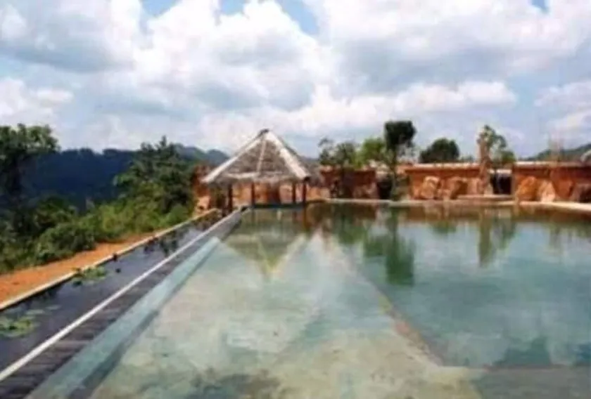 Rainforest Edge - Image 1