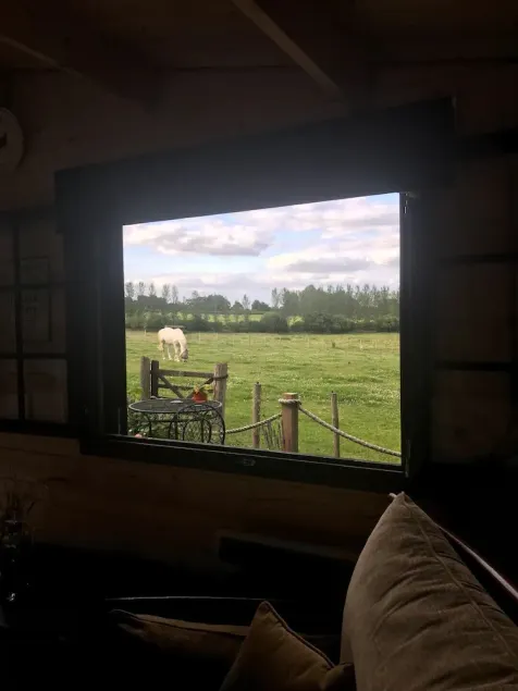 Private Quiet Cabin, overlooking Paddocks Vineyards and Pine Forest - Image 1