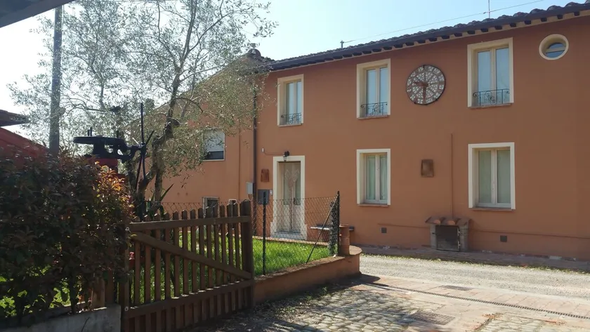 Ulivo Della Querce - Image 1
