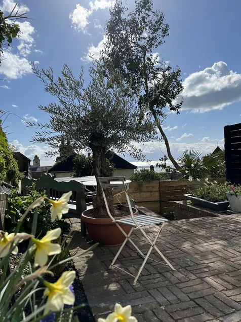 Spectacular sea view house in secret Old Town location & private terraced garden - Image 1