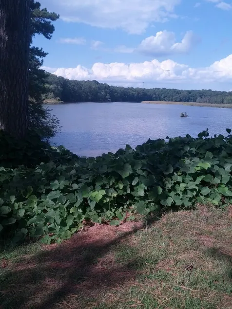 Eastern Shore Get Away - Image 1