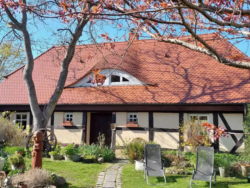 Holiday home with wood-burning stove, terrace, and view of nature - Image 1