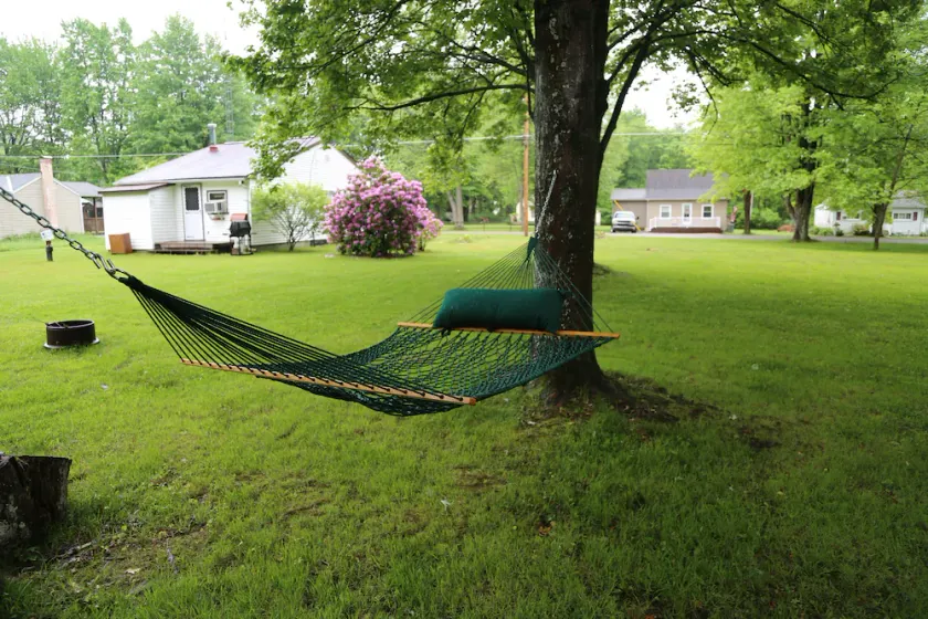 Pymatuning Lake Walking distance to Espyville Marina! - Image 1