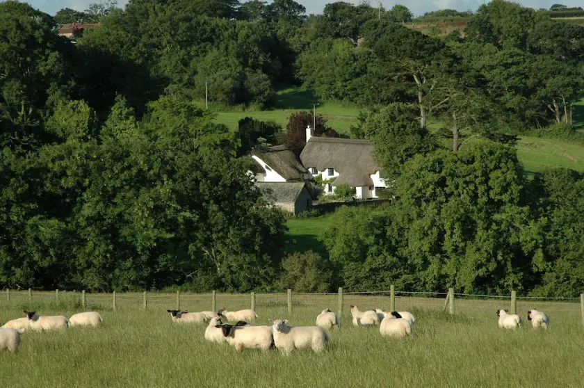 16th Century Thatched Cottage in an Acre of Mature Gardens - Image 1