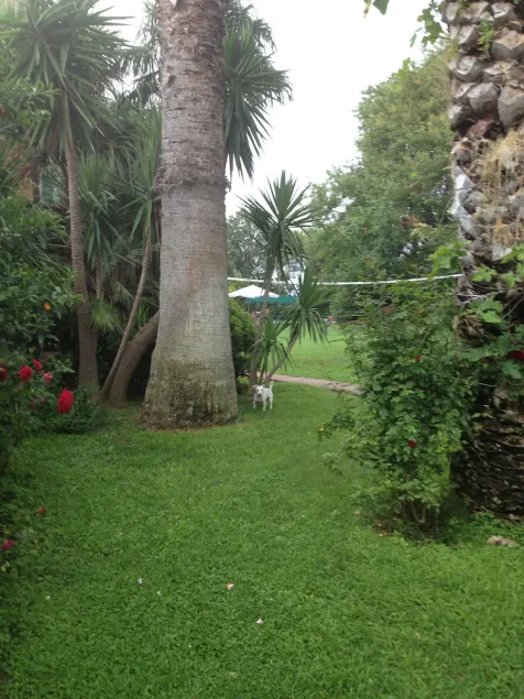 Tenuta Borgo Caere - un'oasi a 30 minuti da Roma - Image 1